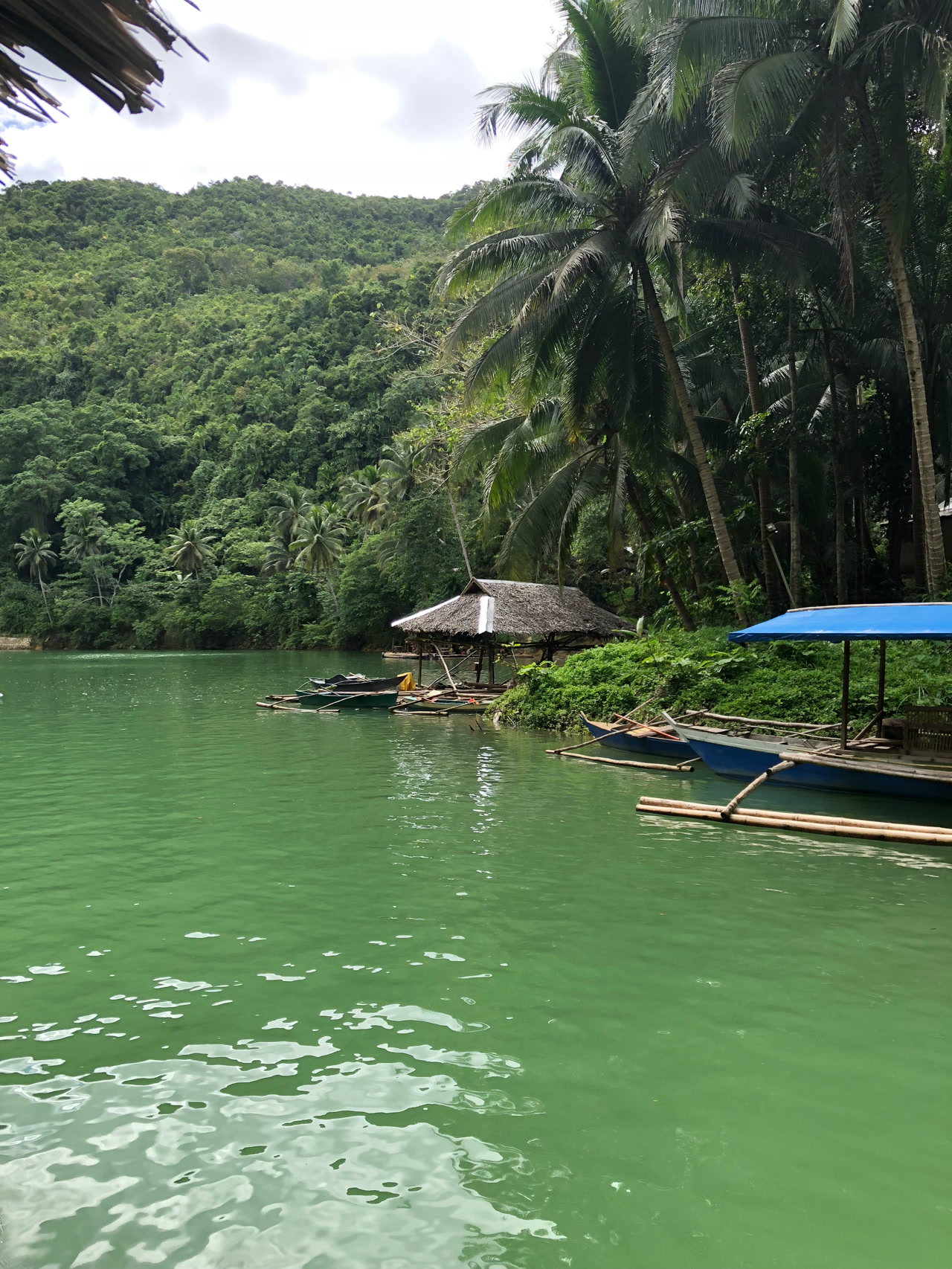Philippinen · grüne Flusslandschaft