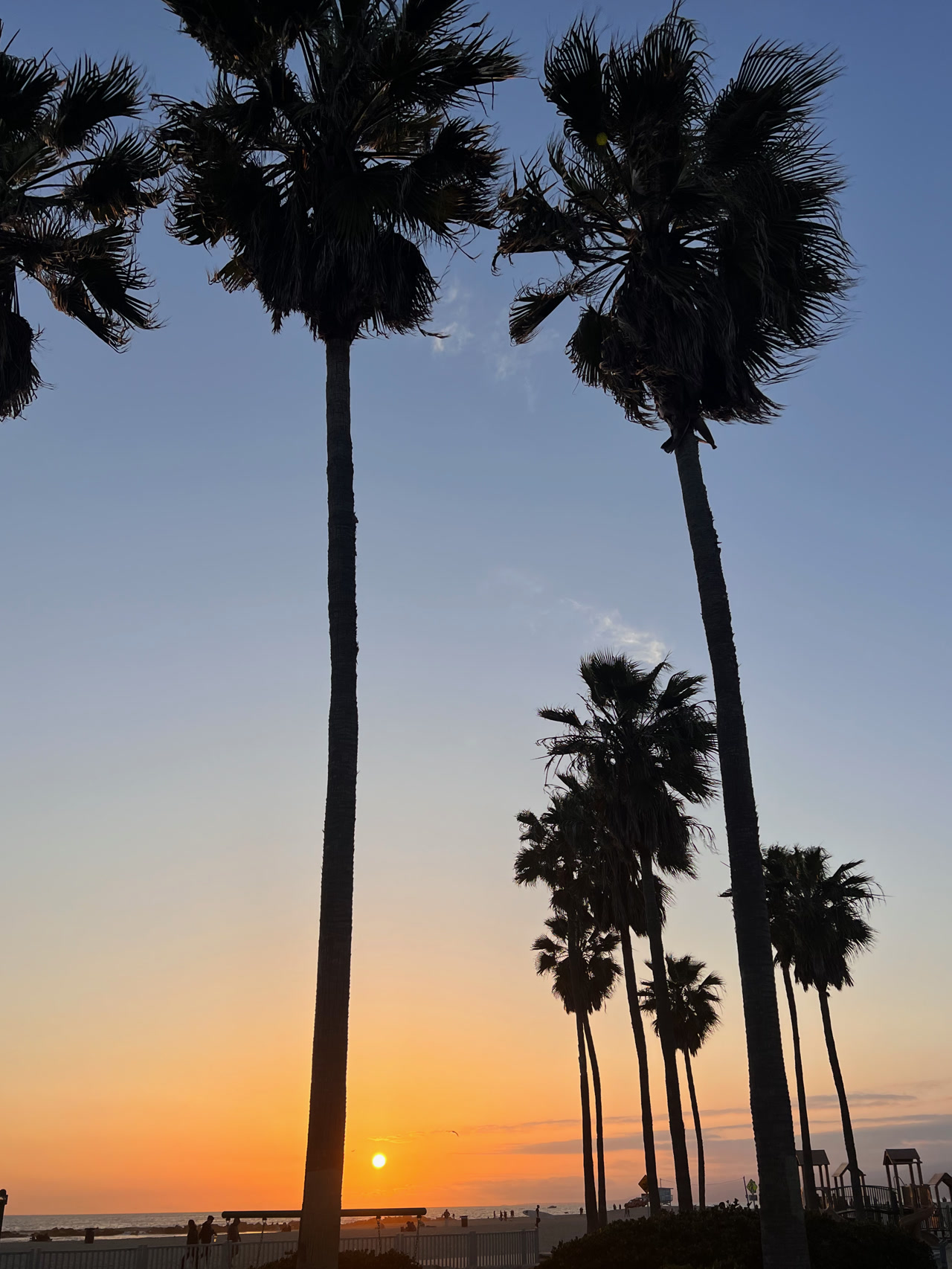 Kalifornien · Abendlicht