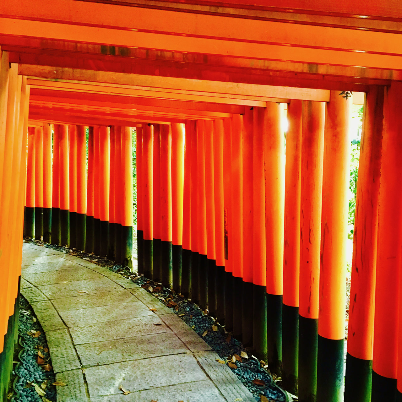 Japan · rote Torii