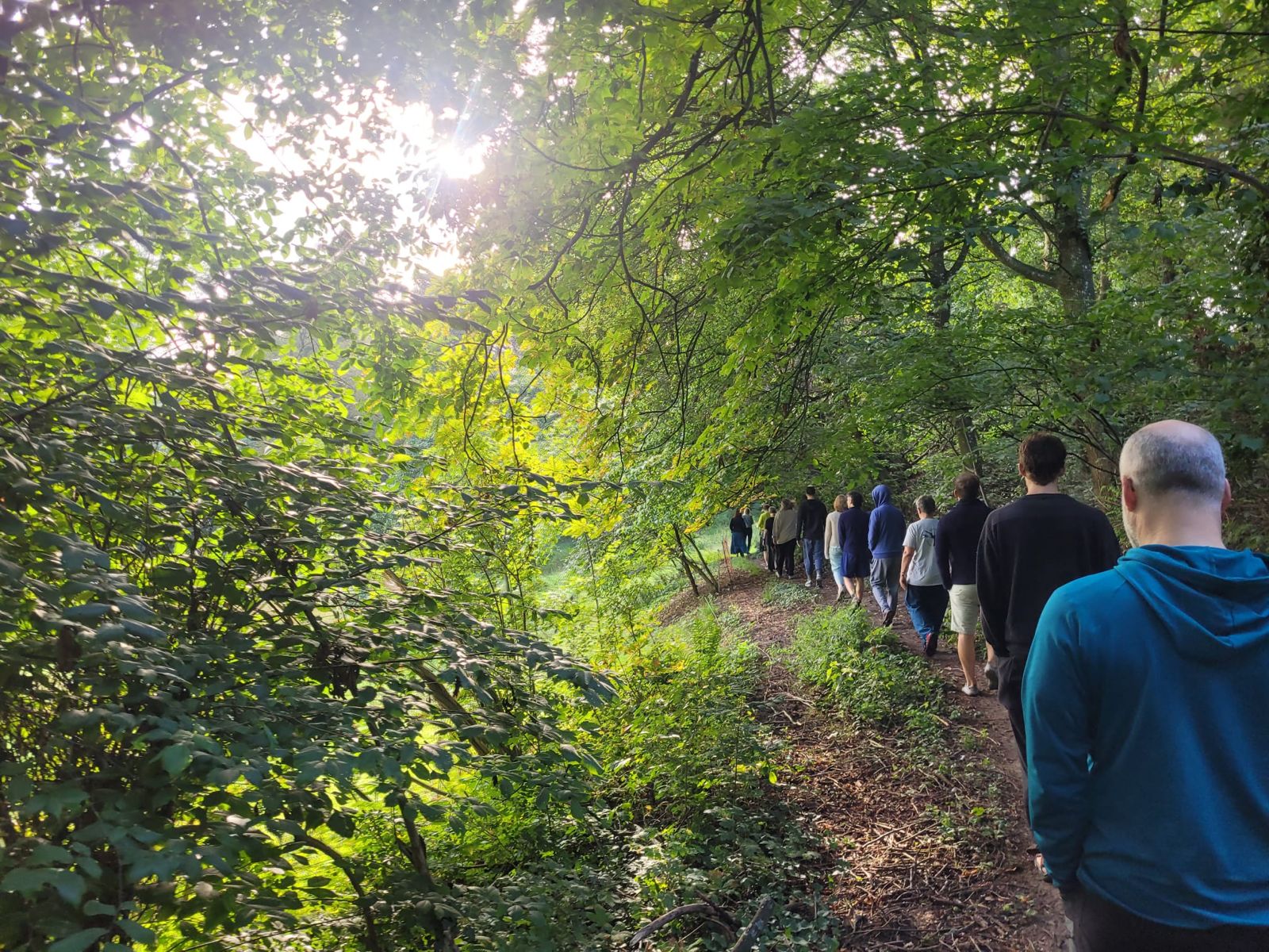 Achtsamer Spaziergang im Wald während der Ausbildung
